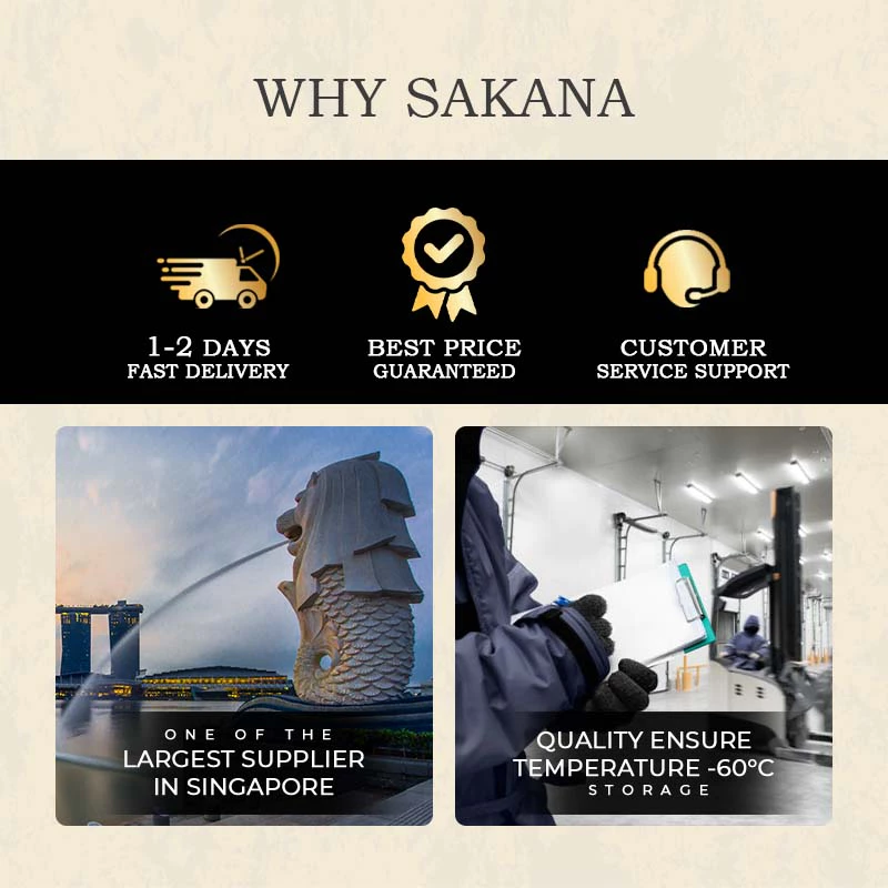 SAKANA | Premium Kabayaki Unagi Fillet (EXTRA BIG) – Ready to Eat | 2pcs (Approx. 800g) - Image 4